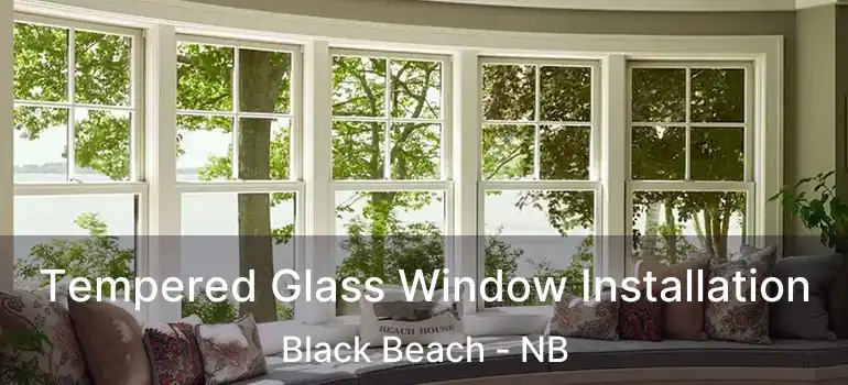  Tempered Glass Window Installation Black Beach - NB