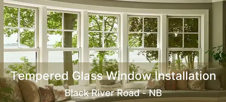  Tempered Glass Window Installation Black River Road - NB