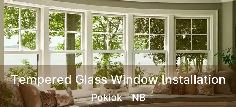  Tempered Glass Window Installation Pokiok - NB