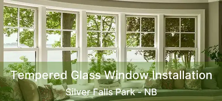  Tempered Glass Window Installation Silver Falls Park - NB