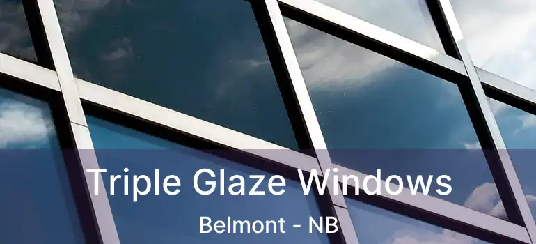  Triple Glaze Windows Belmont - NB