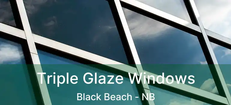  Triple Glaze Windows Black Beach - NB