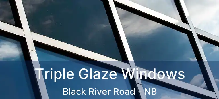  Triple Glaze Windows Black River Road - NB