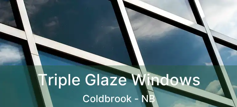  Triple Glaze Windows Coldbrook - NB