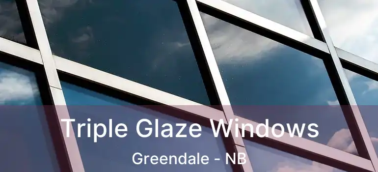  Triple Glaze Windows Greendale - NB