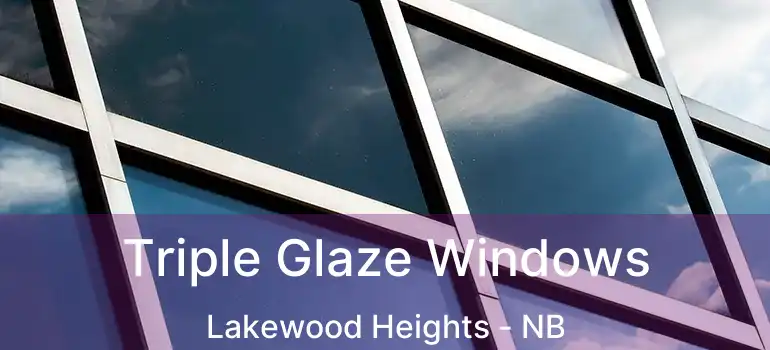  Triple Glaze Windows Lakewood Heights - NB