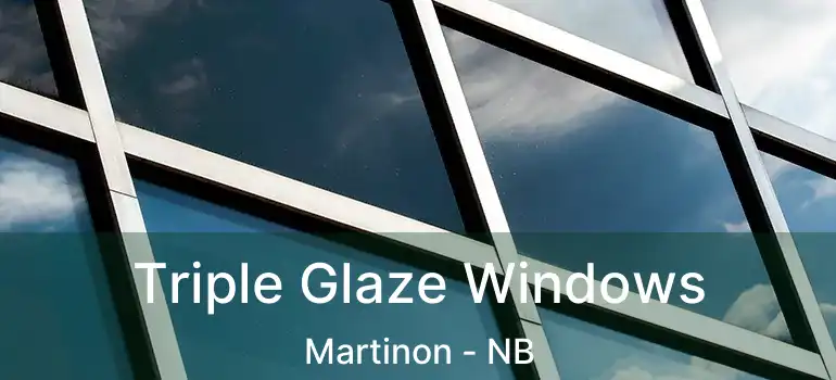  Triple Glaze Windows Martinon - NB