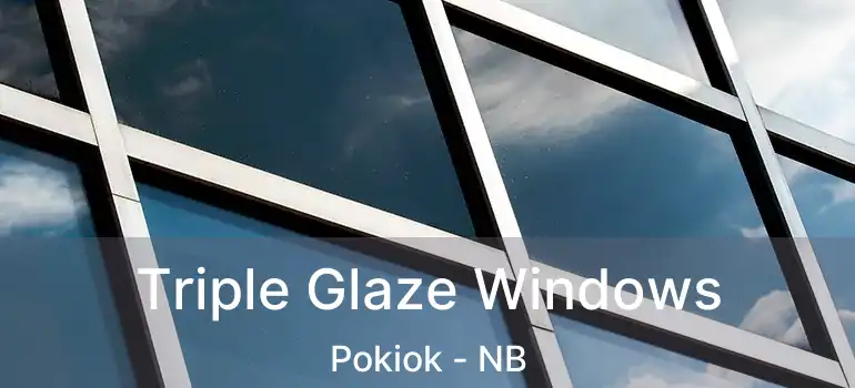  Triple Glaze Windows Pokiok - NB
