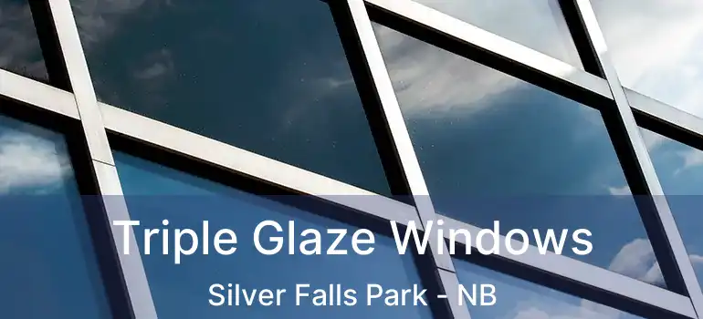  Triple Glaze Windows Silver Falls Park - NB