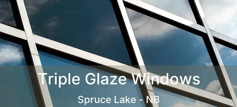  Triple Glaze Windows Spruce Lake - NB