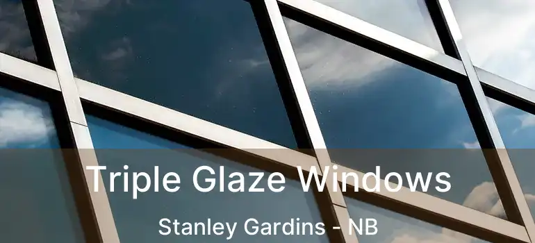  Triple Glaze Windows Stanley Gardins - NB