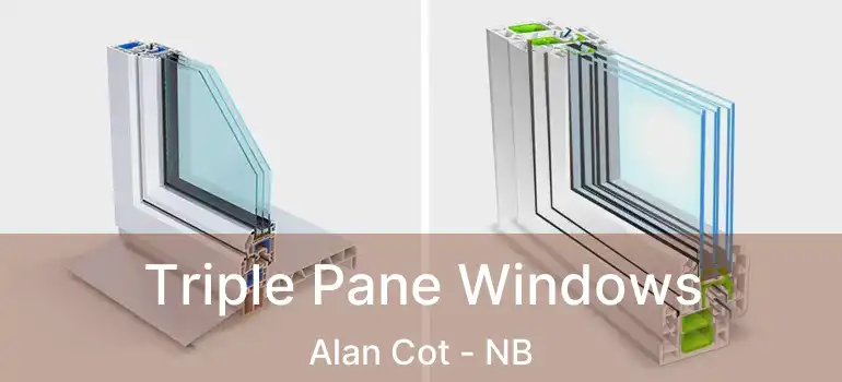 Triple Pane Windows Alan Cot - NB