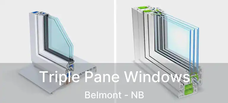 Triple Pane Windows Belmont - NB