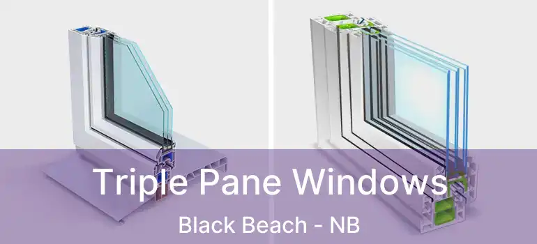  Triple Pane Windows Black Beach - NB
