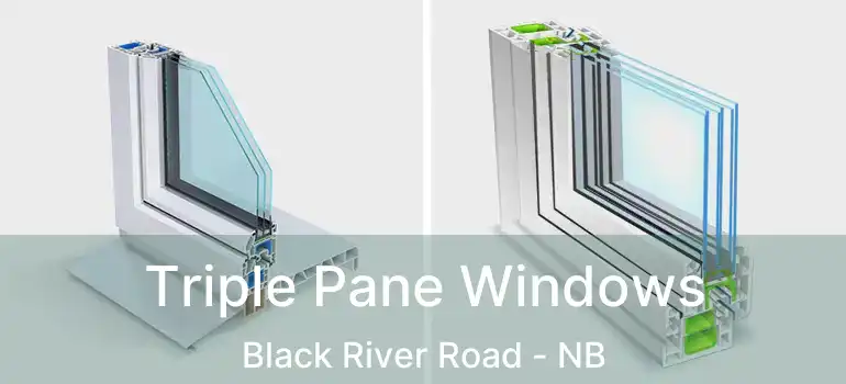  Triple Pane Windows Black River Road - NB