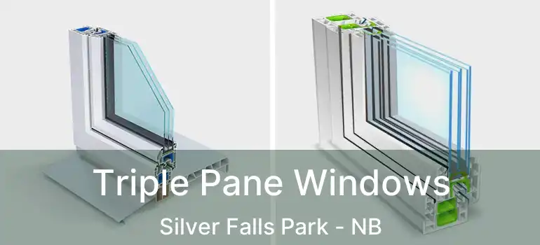  Triple Pane Windows Silver Falls Park - NB