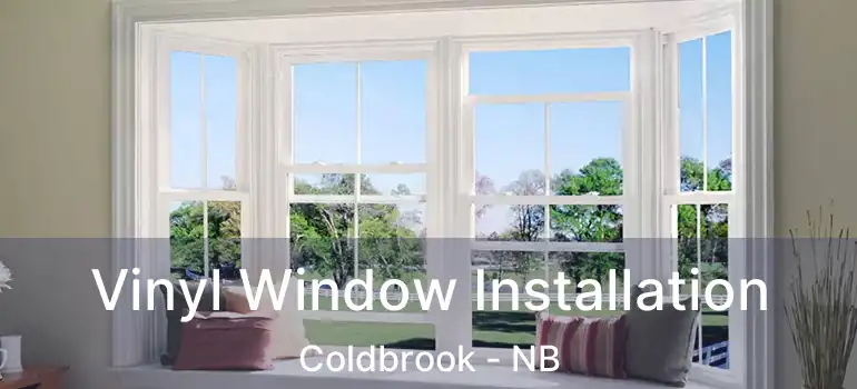  Vinyl Window Installation Coldbrook - NB