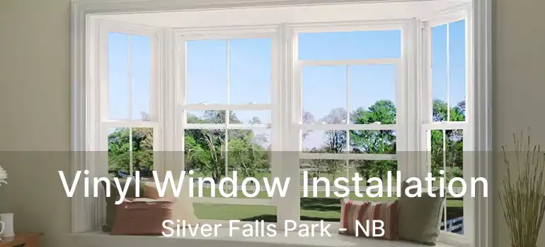  Vinyl Window Installation Silver Falls Park - NB