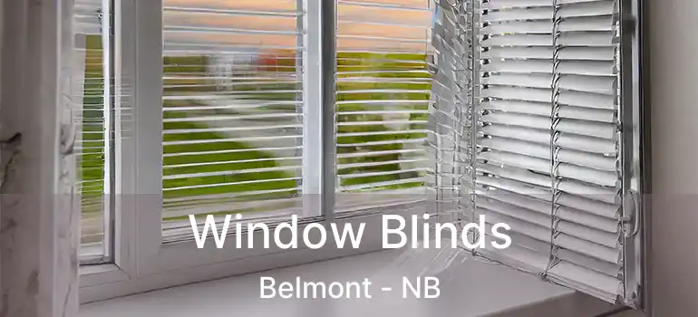  Window Blinds Belmont - NB