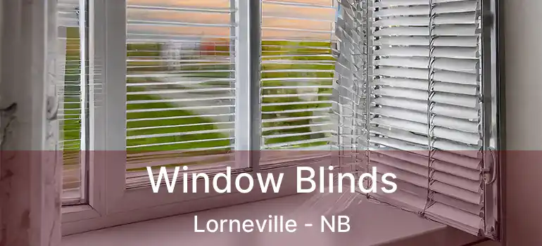  Window Blinds Lorneville - NB