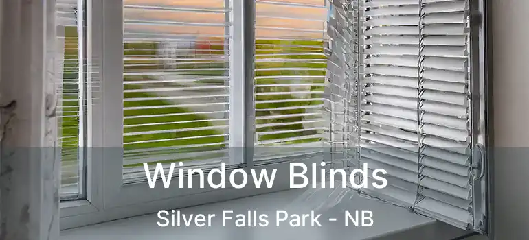  Window Blinds Silver Falls Park - NB