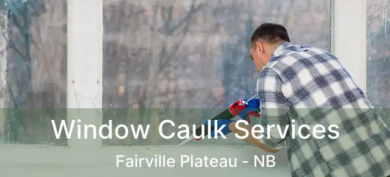  Window Caulk Services Fairville Plateau - NB