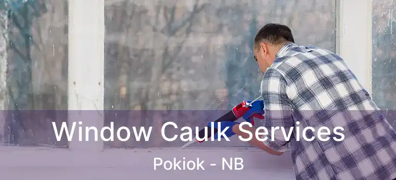  Window Caulk Services Pokiok - NB