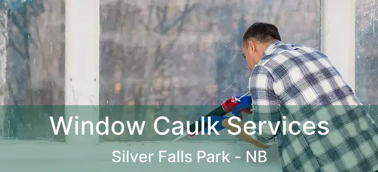  Window Caulk Services Silver Falls Park - NB