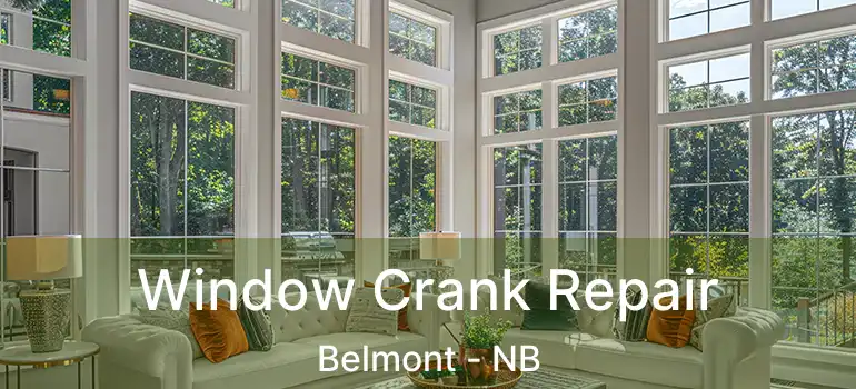  Window Crank Repair Belmont - NB