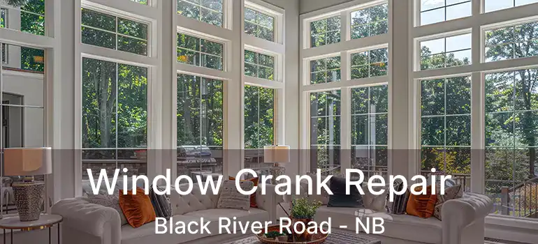  Window Crank Repair Black River Road - NB
