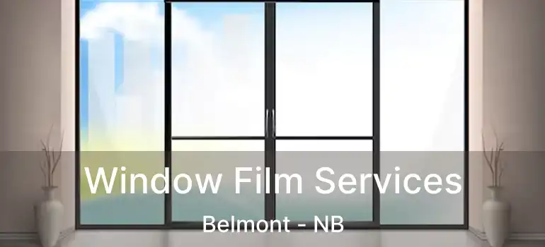  Window Film Services Belmont - NB