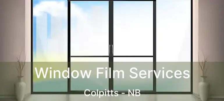  Window Film Services Colpitts - NB