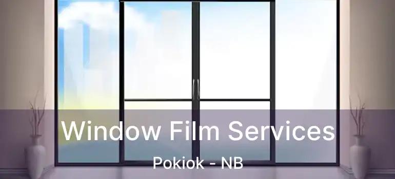  Window Film Services Pokiok - NB