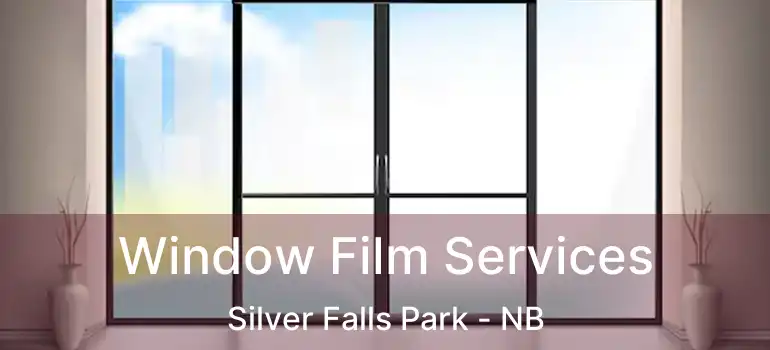 Window Film Services Silver Falls Park - NB