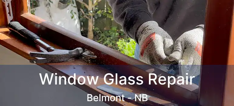  Window Glass Repair Belmont - NB