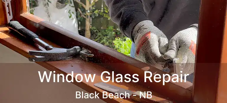  Window Glass Repair Black Beach - NB