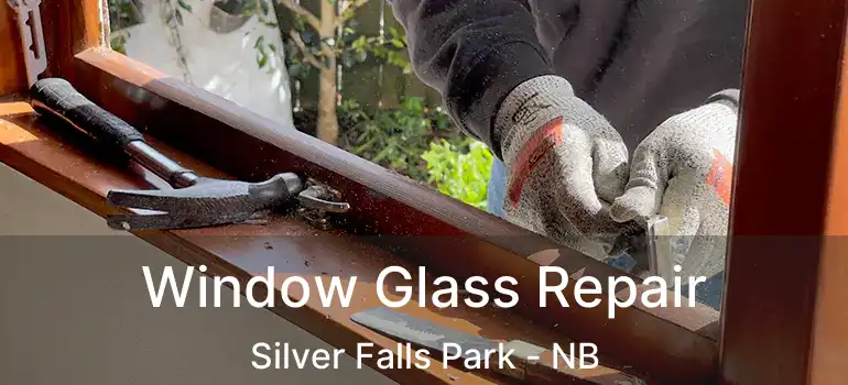  Window Glass Repair Silver Falls Park - NB