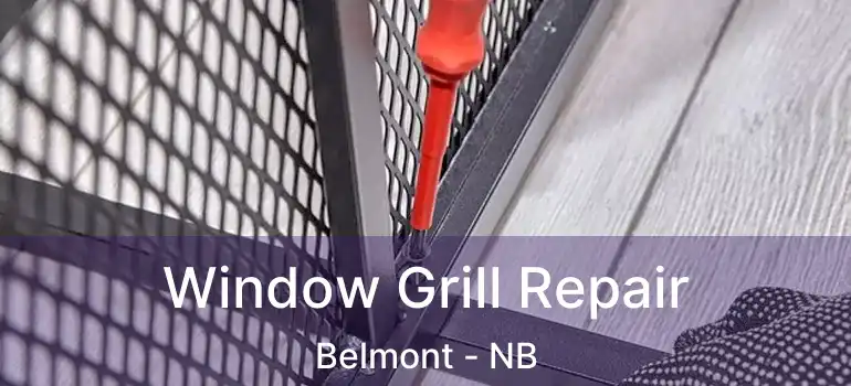  Window Grill Repair Belmont - NB