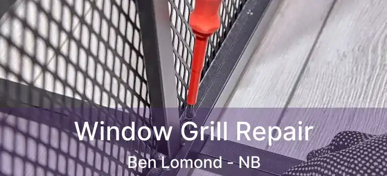  Window Grill Repair Ben Lomond - NB