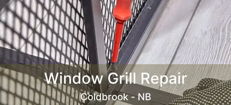  Window Grill Repair Coldbrook - NB