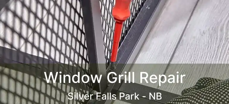  Window Grill Repair Silver Falls Park - NB