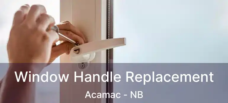  Window Handle Replacement Acamac - NB