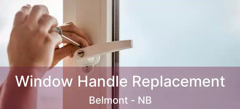  Window Handle Replacement Belmont - NB