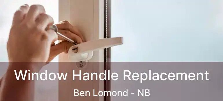 Window Handle Replacement Ben Lomond - NB
