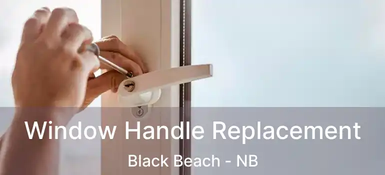  Window Handle Replacement Black Beach - NB
