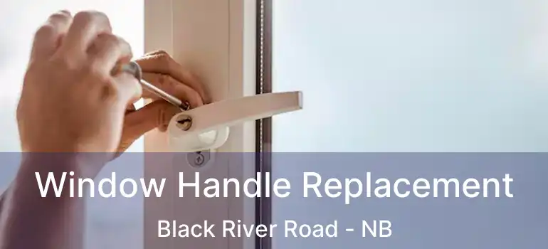  Window Handle Replacement Black River Road - NB