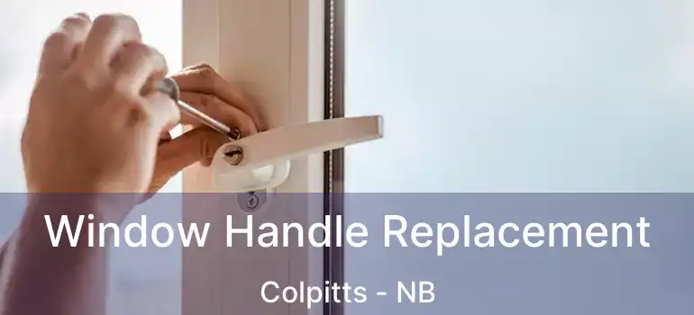  Window Handle Replacement Colpitts - NB