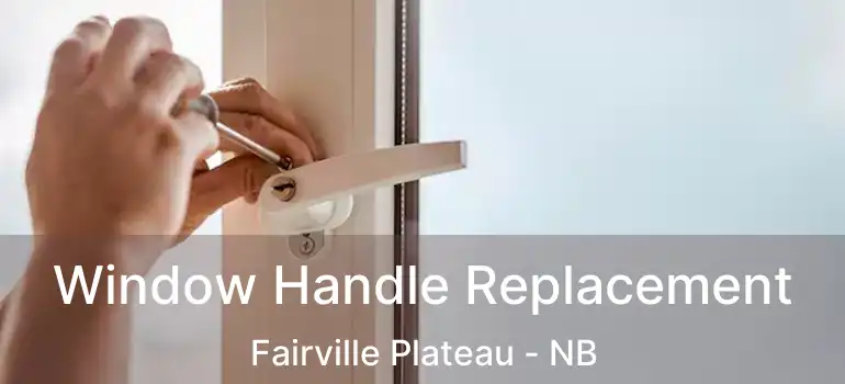  Window Handle Replacement Fairville Plateau - NB