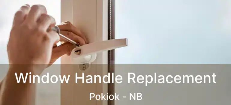  Window Handle Replacement Pokiok - NB