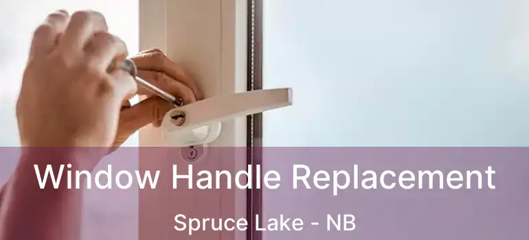  Window Handle Replacement Spruce Lake - NB
